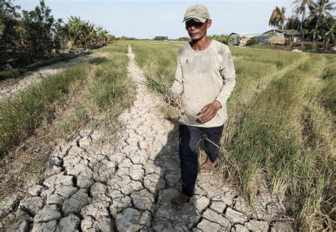 The 2013 Mekong Delta Saltwater Intrusion: A Grim Reminder of Climate Change and Agricultural Vulnerability in Vietnam