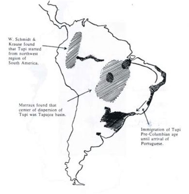 The Tupinambá-Guarani Alliance: A 9th Century Catalyst for Intertribal Cooperation and Cultural Exchange in Early Brazil